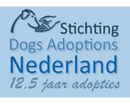dog adoptions nederland